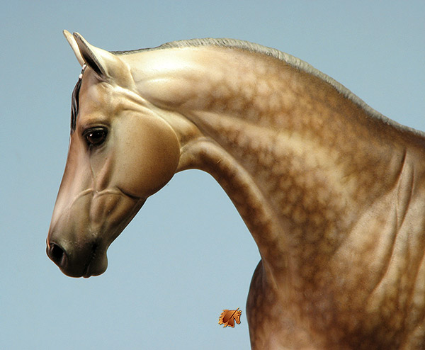 Veronka #6 Painted by C. Williams