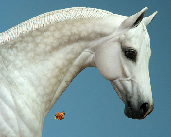 Veronka #8 Painted by C. Williams