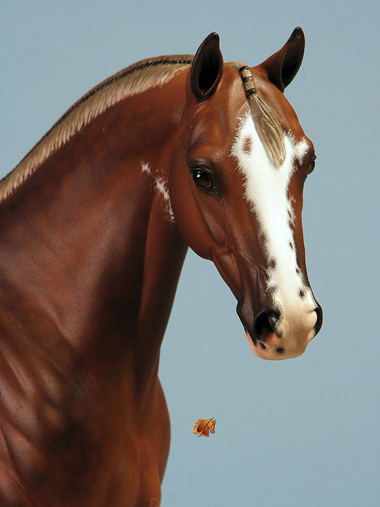 Veronka #9 Painted by C. Williams