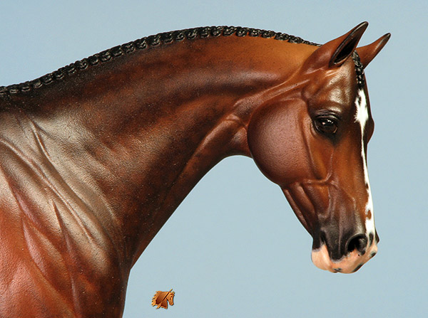 Veronka #12 Painted by C. Williams