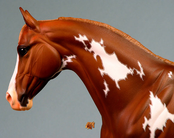 Victrix #1 Painted by C. Williams