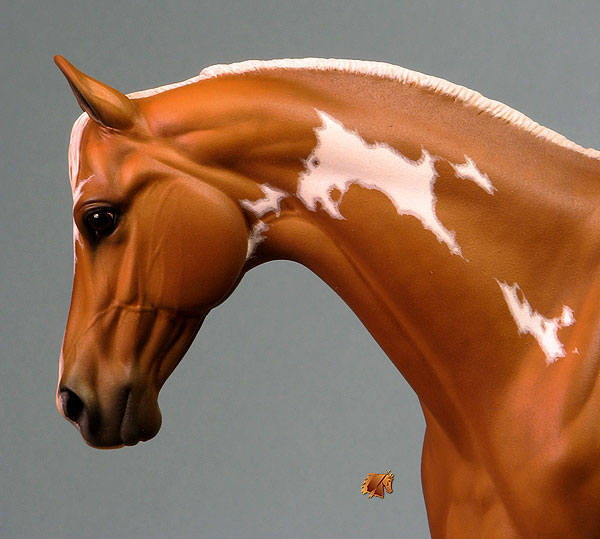 Victrix #2 Painted by C. Williams