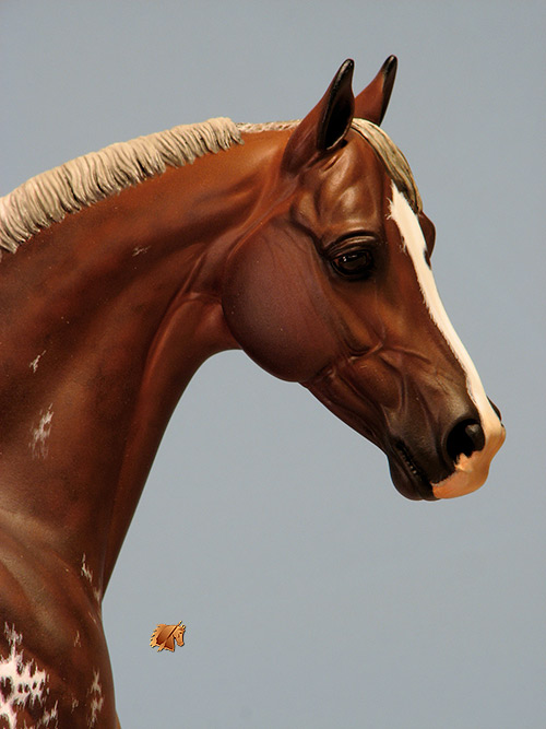 Victrix #8 Painted by C. Williams