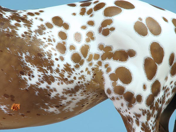 Victrix #9 Painted by C. Williams