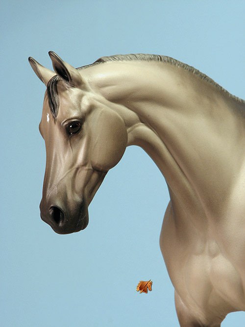 Victrix #11 Painted by C. Williams