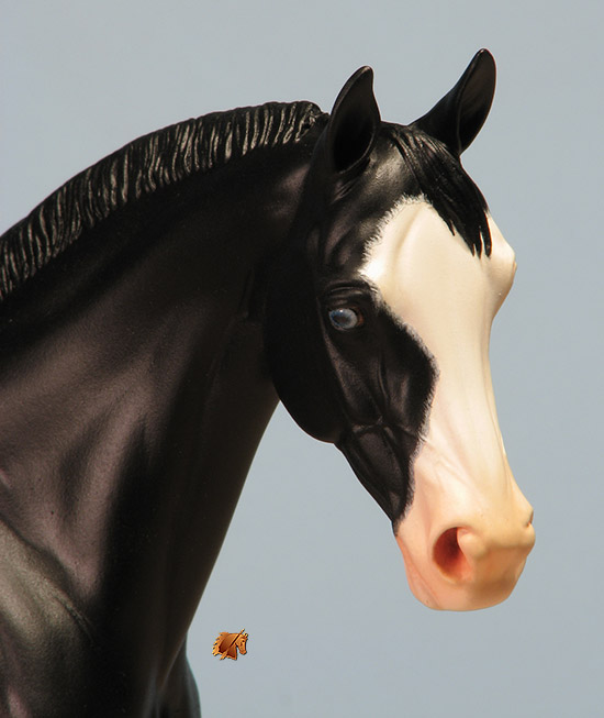 Victrix #12 Painted by C. Williams