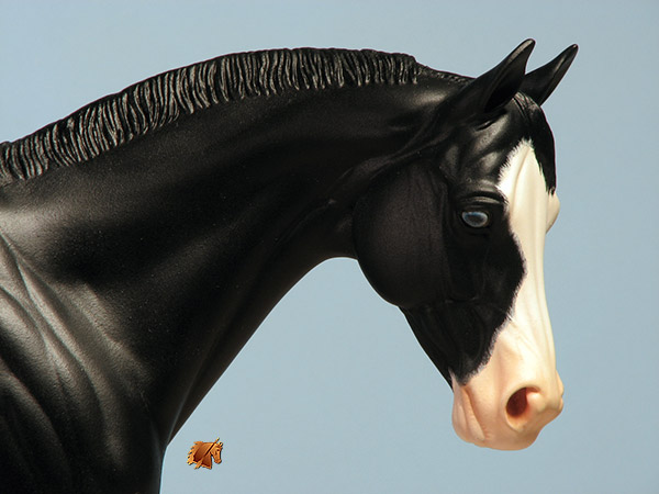 Victrix #12 Painted by C. Williams