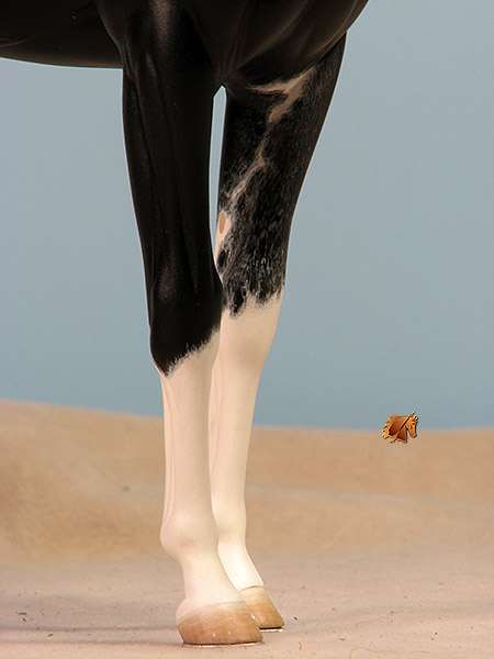 Victrix #12 Painted by C. Williams