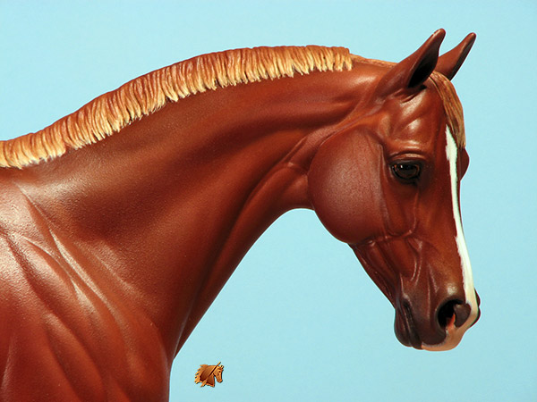 Victrix #13 Painted by C. Williams