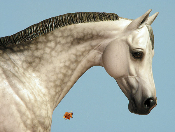 Victrix #16 Painted by C. Williams