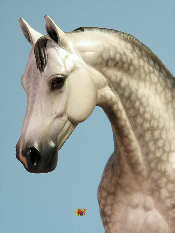 Victrix #16 Painted by C. Williams