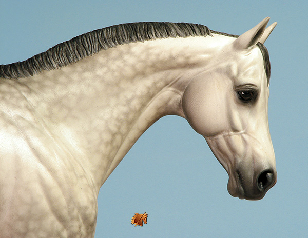 Victrix #17 Painted by C. Williams