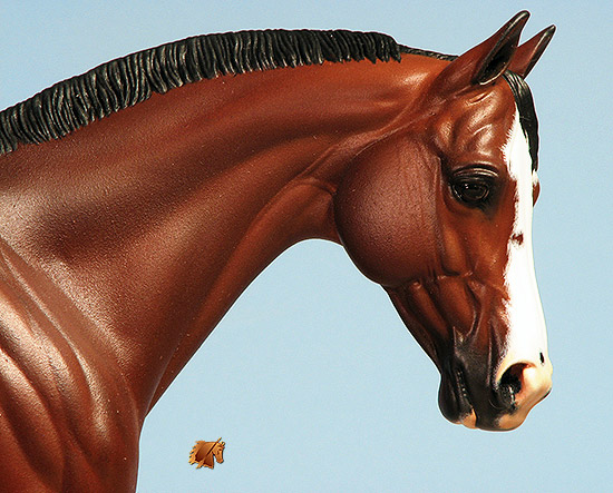 Victrix #18 Painted by C. Williams