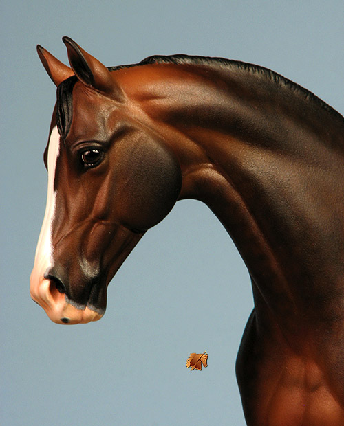 Victrix #20 Painted by C. Williams