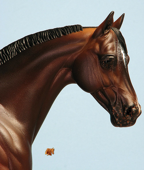 Victrix #21 Painted by C. Williams