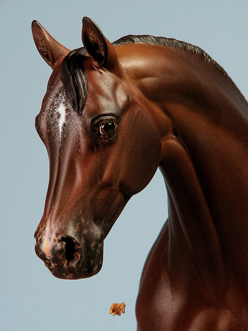 Victrix #21 Painted by C. Williams