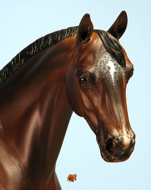 Victrix #21 Painted by C. Williams