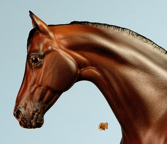 Victrix #21 Painted by C. Williams