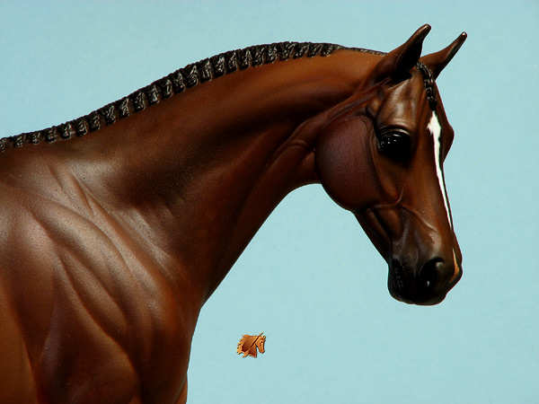 Victrix HP #2 Painted by C. Williams