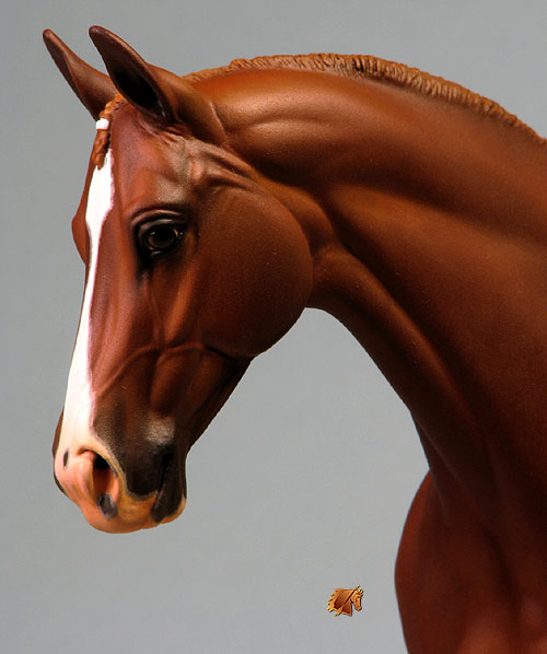 Victrix HP #5 Painted by C. Williams