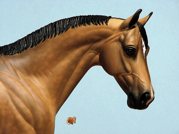 Victrix HP #6 Painted by C. Williams