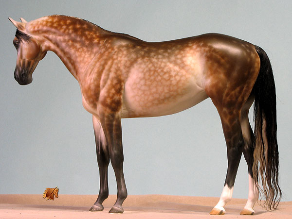 Victrix HP #7 Painted by C. Williams