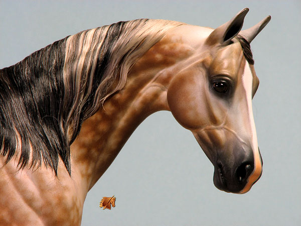 Victrix HP #7 Painted by C. Williams