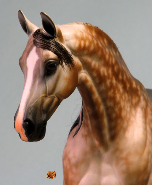 Victrix HP #7 Painted by C. Williams