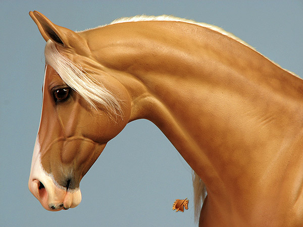 Victrix HP #10 Painted by C. Williams