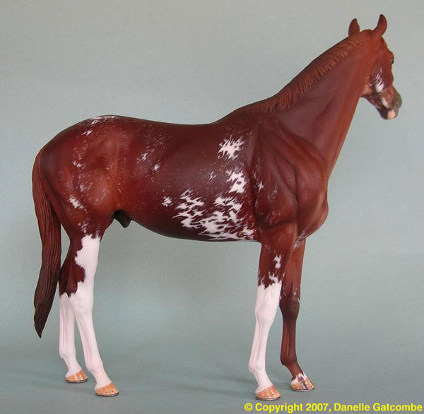 Valor Painted by Danelle Gatcombe