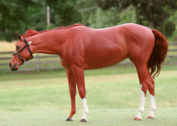 Valor Painted by Jen Kroll