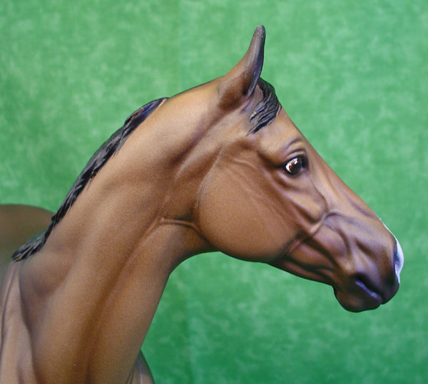 Valor Painted by Lisa Bickford