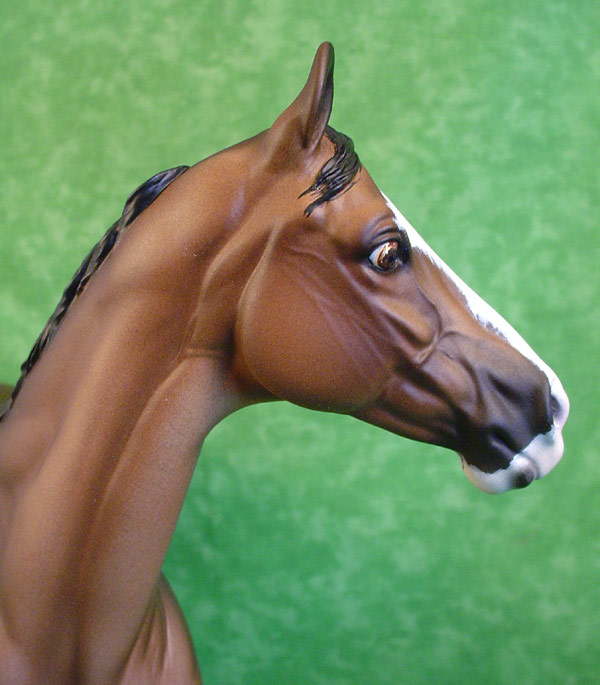 Valor Painted by Lisa Bickford