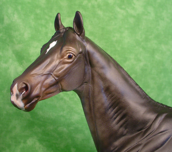 Valor Painted by Lisa Bickford