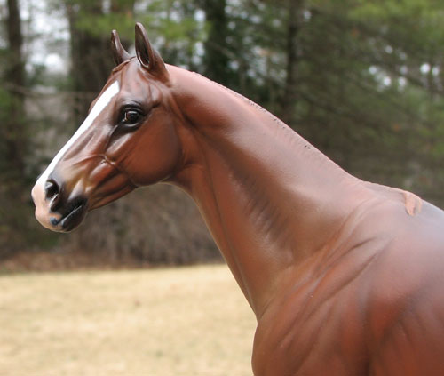 Valor Painted by Liesl Dalpe