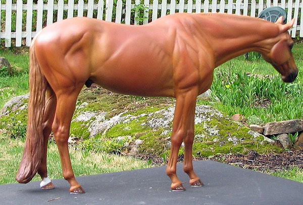 Valor Painted by Liesl Dalpe