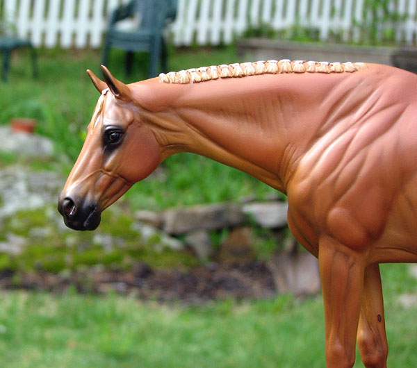 Valor Painted by Liesl Dalpe