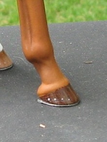 Valor Painted by Liesl Dalpe