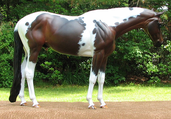 Valor Painted by Liesl Dalpe