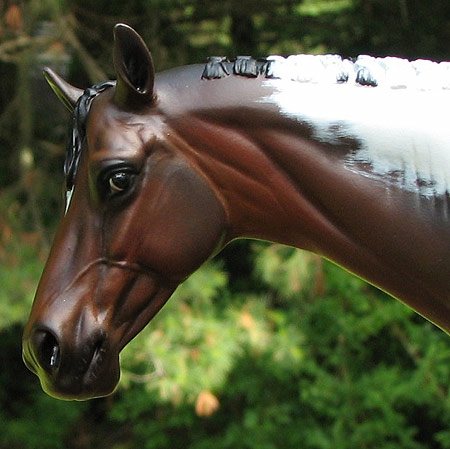 Valor Painted by Liesl Dalpe