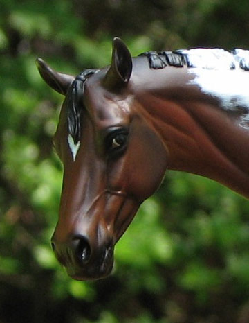 Valor Painted by Liesl Dalpe