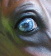 Valor Painted by Liesl Dalpe