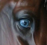 Valor Painted by Liesl Dalpe