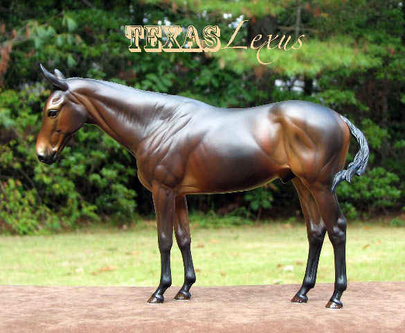 ValorHP Painted by Liesl Dalpe