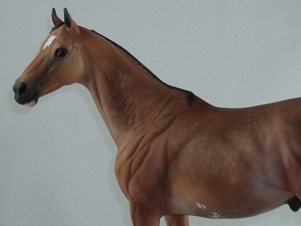 Valor Painted by Kim Swanson