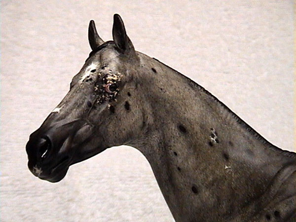 Valor Painted by Billie Campbell