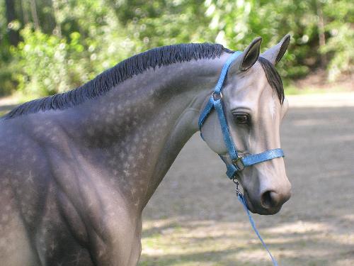 Valor Painted by Hilary Schwafel