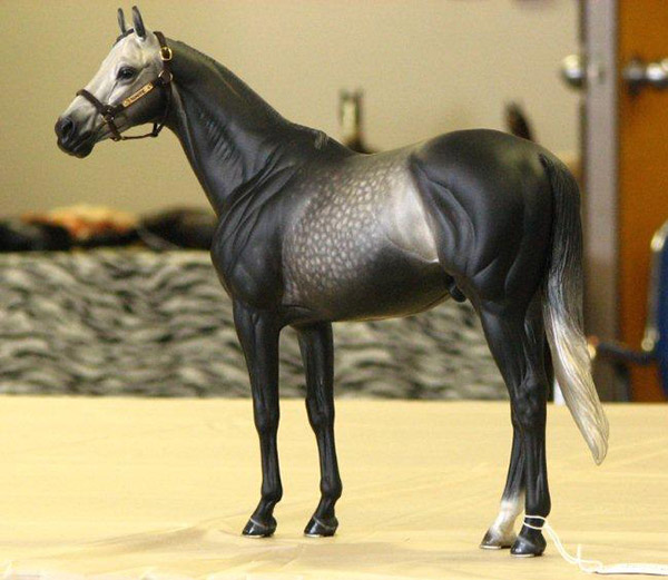 Valor Painted by Tammi Palmarchuk