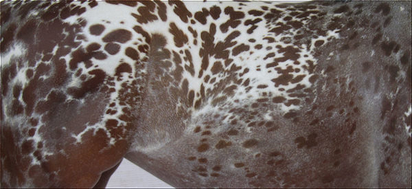 Victrix Painted by Liz Shaw