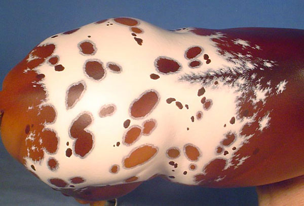 Venator painted by Chris Nandell